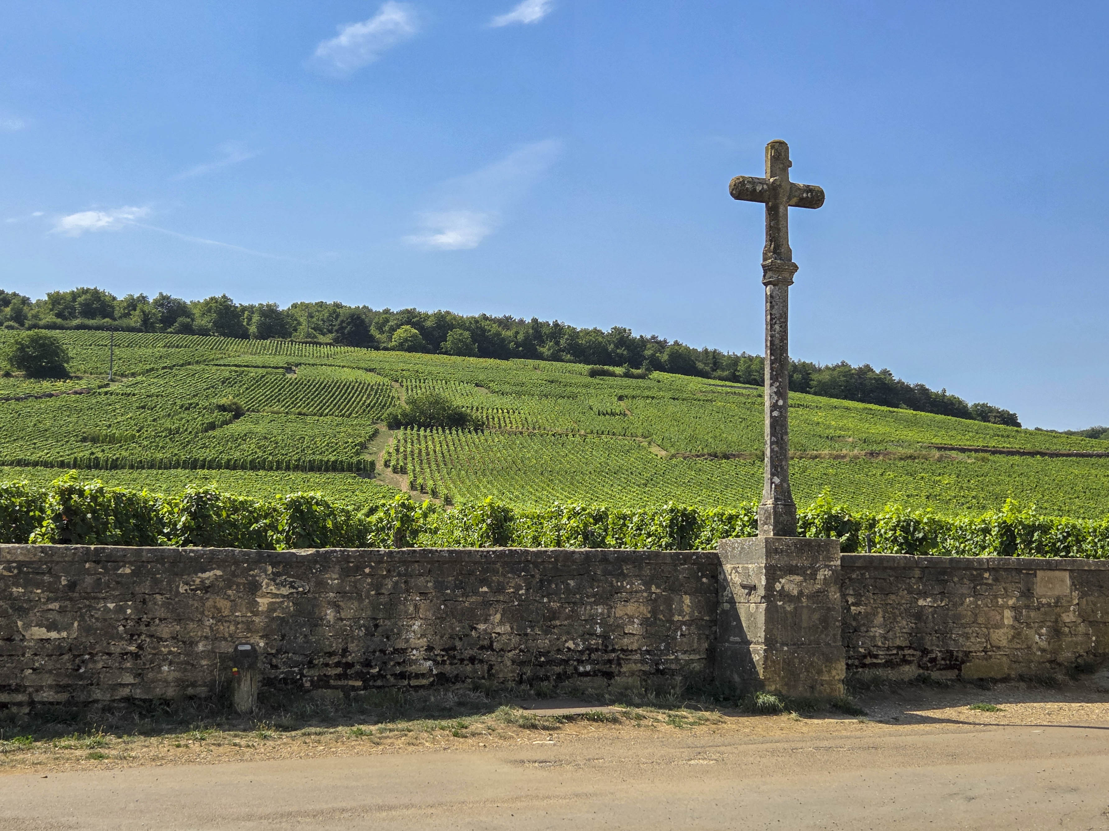 Vinhedos da Domaine Romanée-Conti, na Borgonha