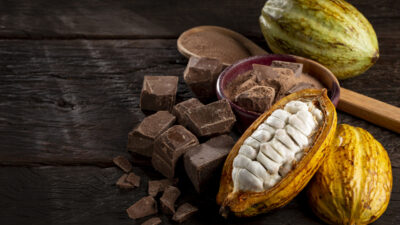 Cocoa with chocolate pieces and chocolate powder on the table.