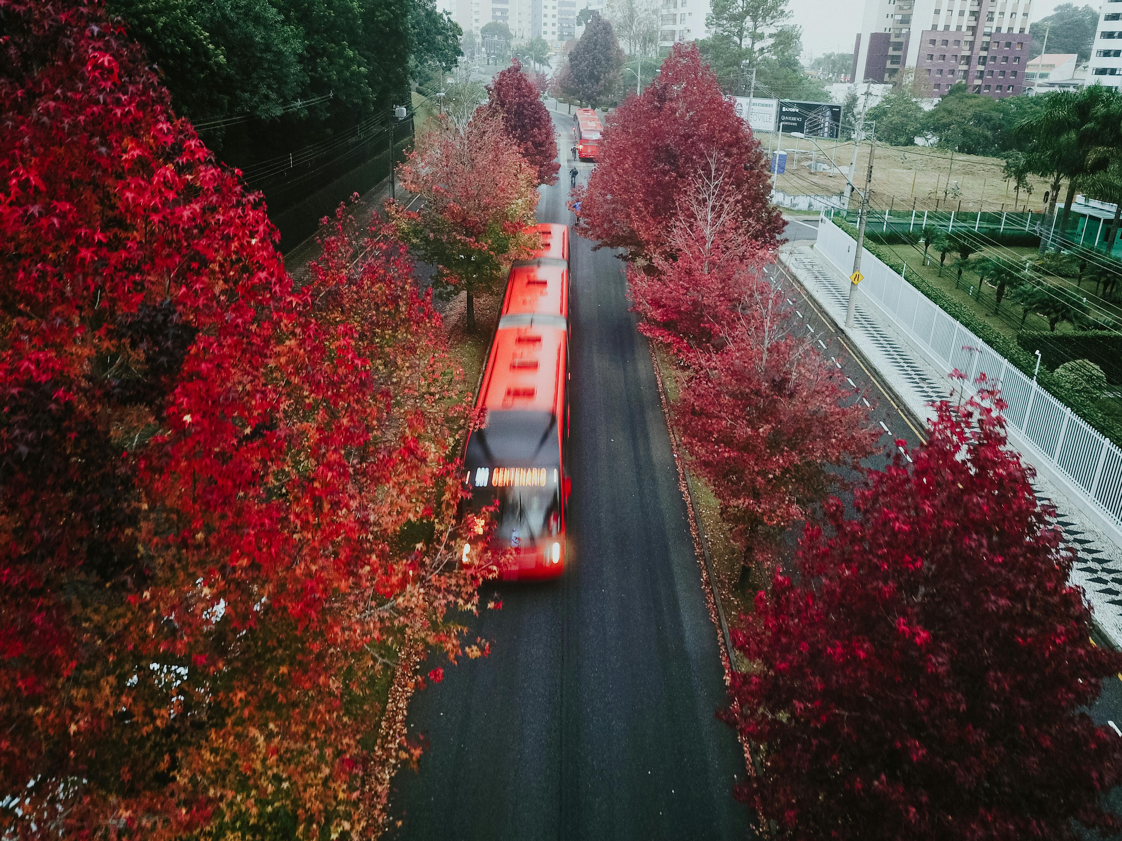 Sistema de transporte público de Curitiba conta com BRT