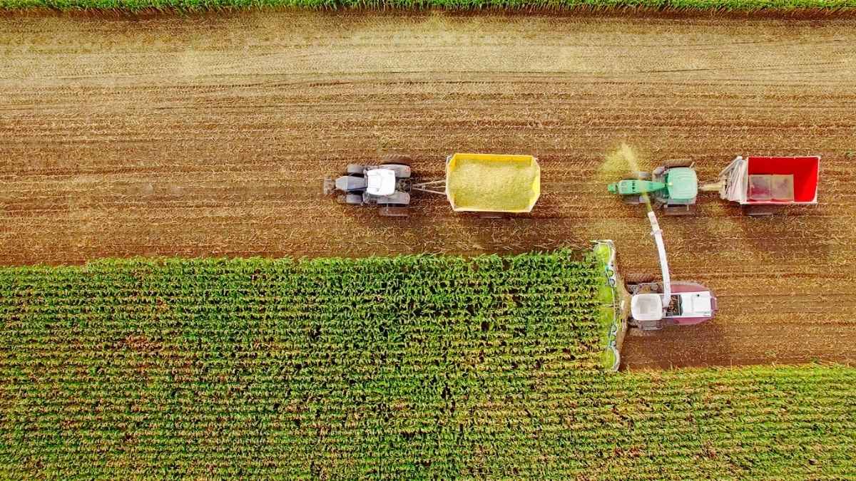 Crédito mais difícil? Itaú BBA vê safra 2026/27 mais seletiva para o agronegócio e diz o que esperar a partir de agora