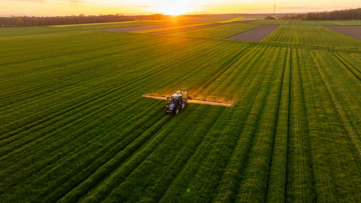 Riza Terrax (RZTR11) rescinde contrato de fazenda após calote; entenda o impacto no bolso do cotista