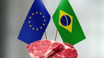 Bandeiras da União Europeia e do Brasil com pedaços de carne representando o veto à carne brasileira