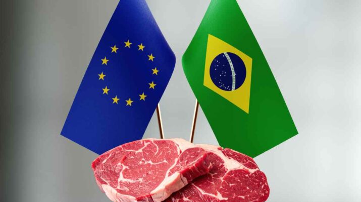 Bandeiras da União Europeia e do Brasil com pedaços de carne representando o veto à carne brasileira