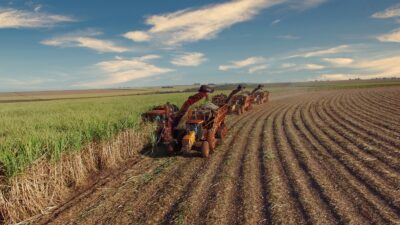 Plantação de cana de açúcar com tratores agronegócio agricultura