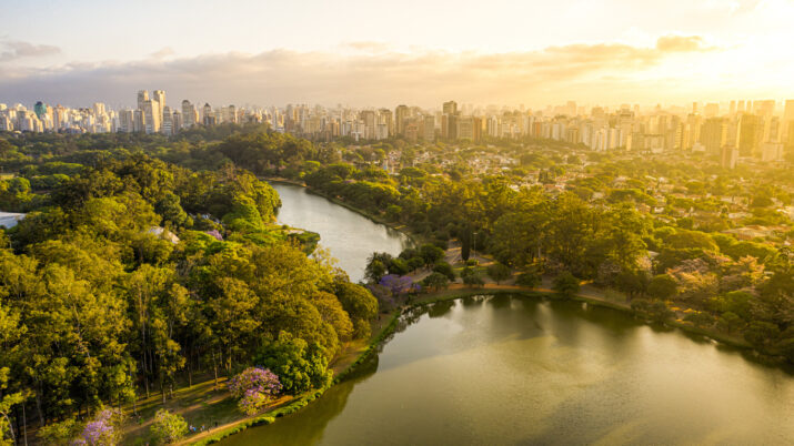 Parque com lago e árvores no meio de prédios