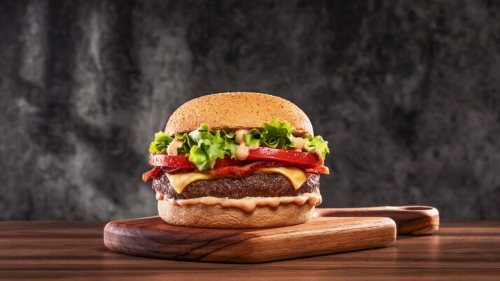 lanche de graça burguer king serasa bk (1) ID da foto:1309352410