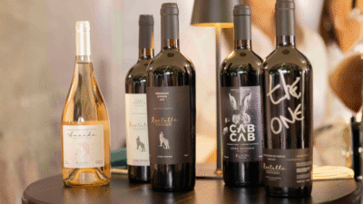 Festival de Vinhos de Inverno