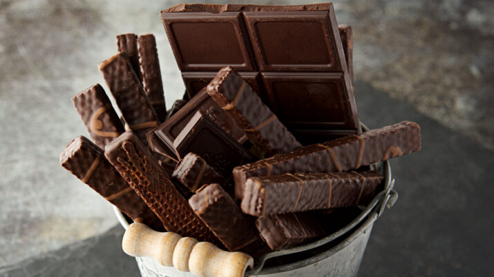 Confira as marcas que usam cacau como protagonista nos seus chocolates