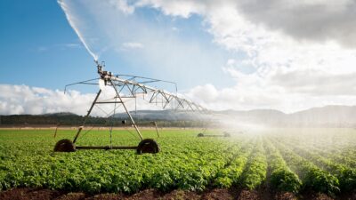 agronegocio agro fiagros agricultura