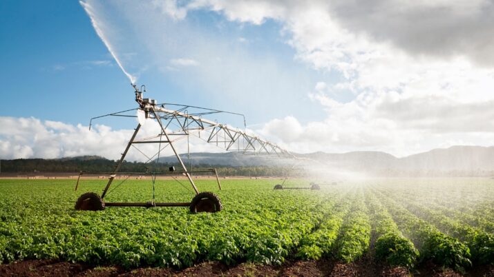 agronegocio agro fiagros agricultura