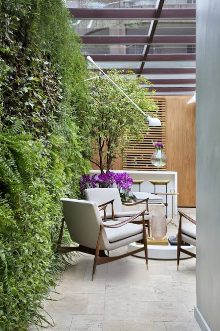 hall de clinica de dermatologia com plantas nas paredes, e duas poltronas