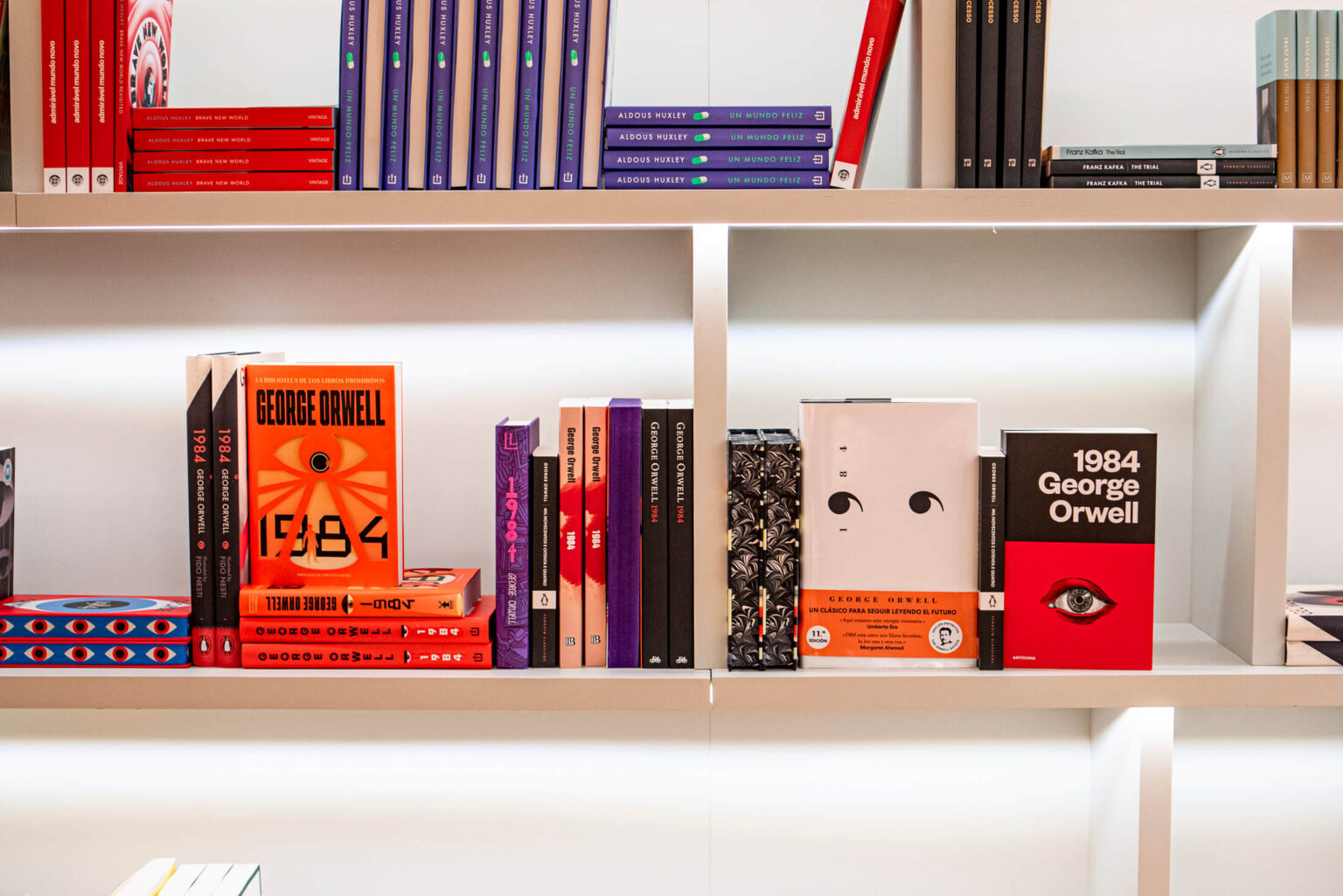 Biblioteca Manifesto - Imagem: Reprodução/Livraria Lello