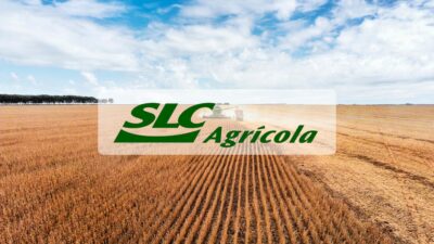 Plantação de soja e logo da SLC Agrícola (SLCE3)