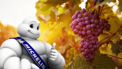 Boneco mivhelin em uma vinícola