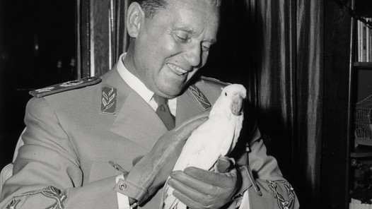 Koki, Tchau (2025)