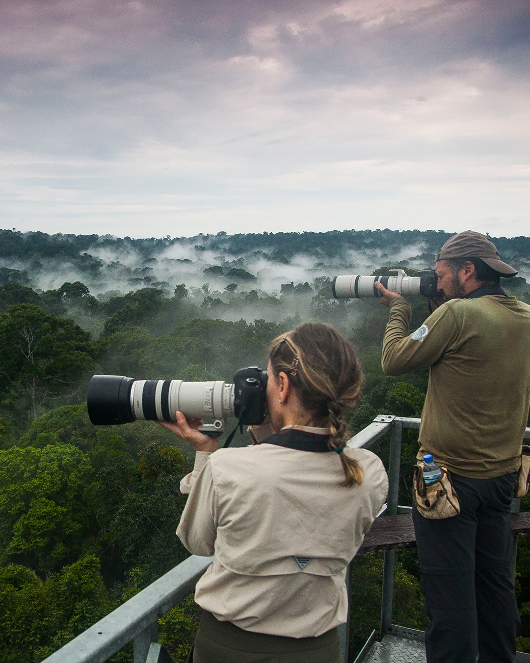 Crisalino Lodge está localizado em um dos melhores lugares do planeta para observação de aves