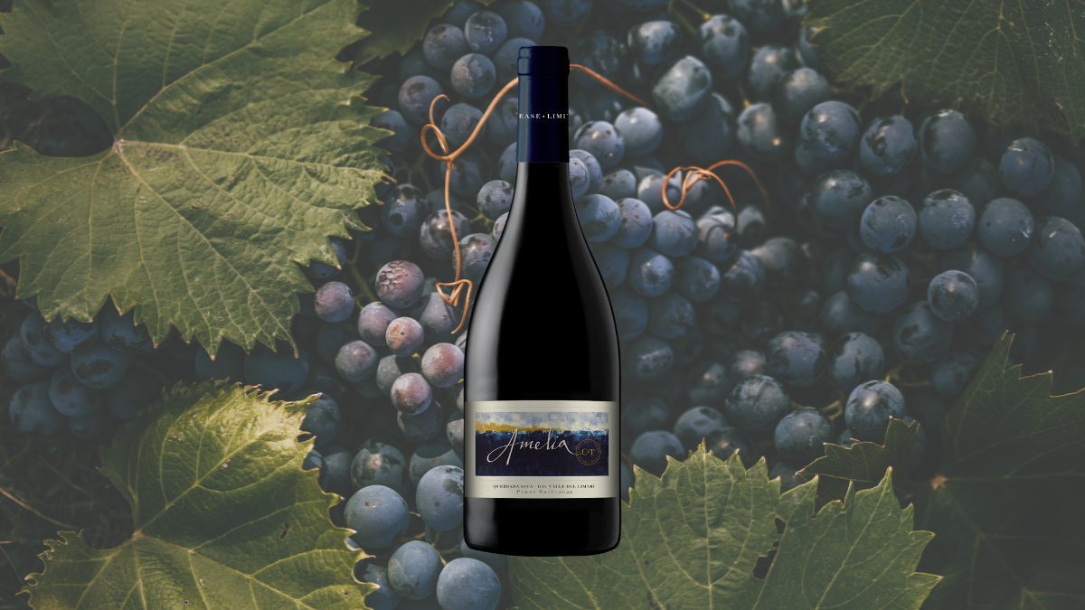Garrafa de Amelia Pinot Noir