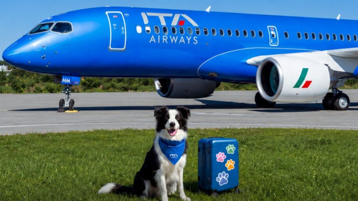 cachorro da raça border collie em frente a avião da ITA