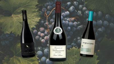 Garrafas de Pinot Noir