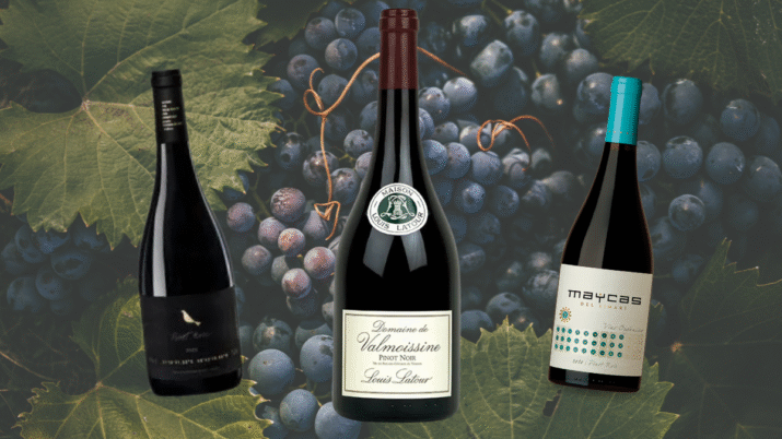 Garrafas de Pinot Noir