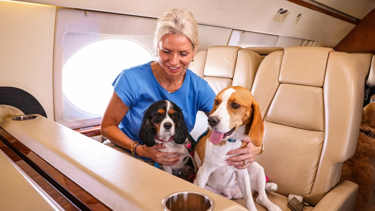 tutora em jatinho com dois cachorros soltos sentados no banco do avião