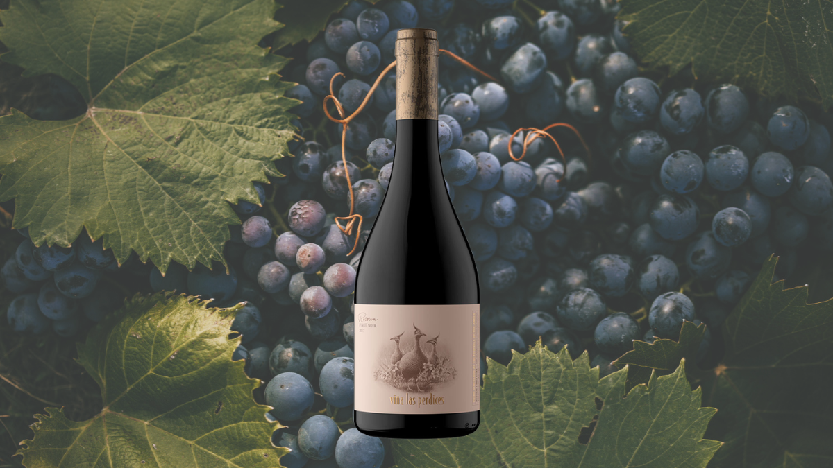 Garrafa de Las Perdices Reserva Pinot Noir (Viña Las Perdices)