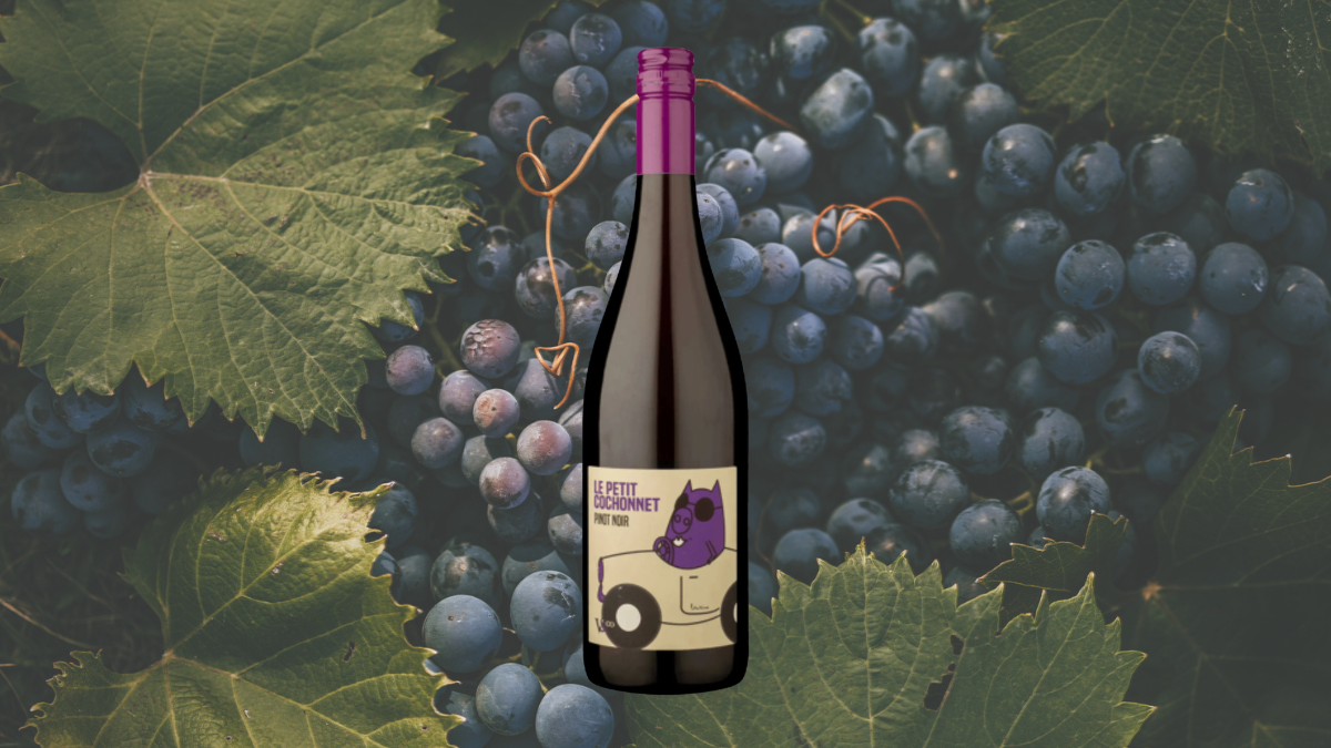 Garrafa de Le Petit Cochonnet Pinot Noir