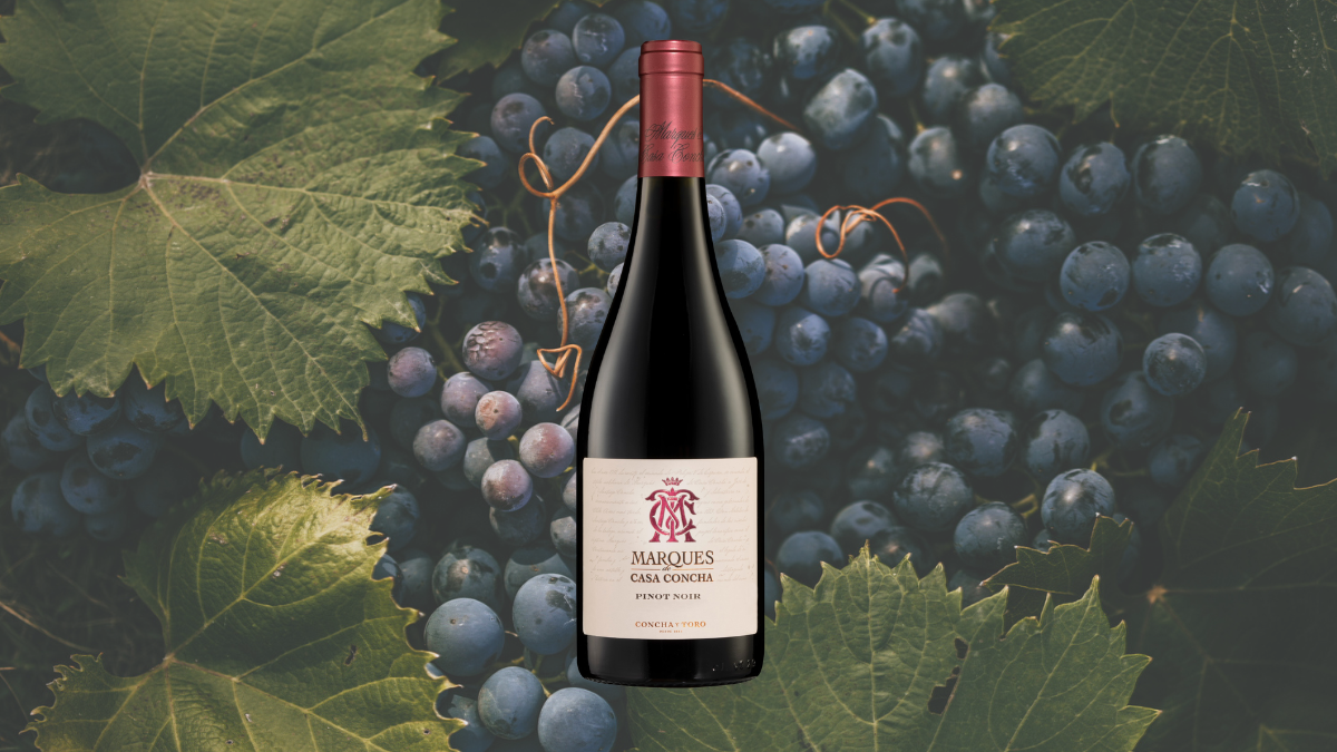 Garrafa de Marques de Casa Concha Pinot Noir