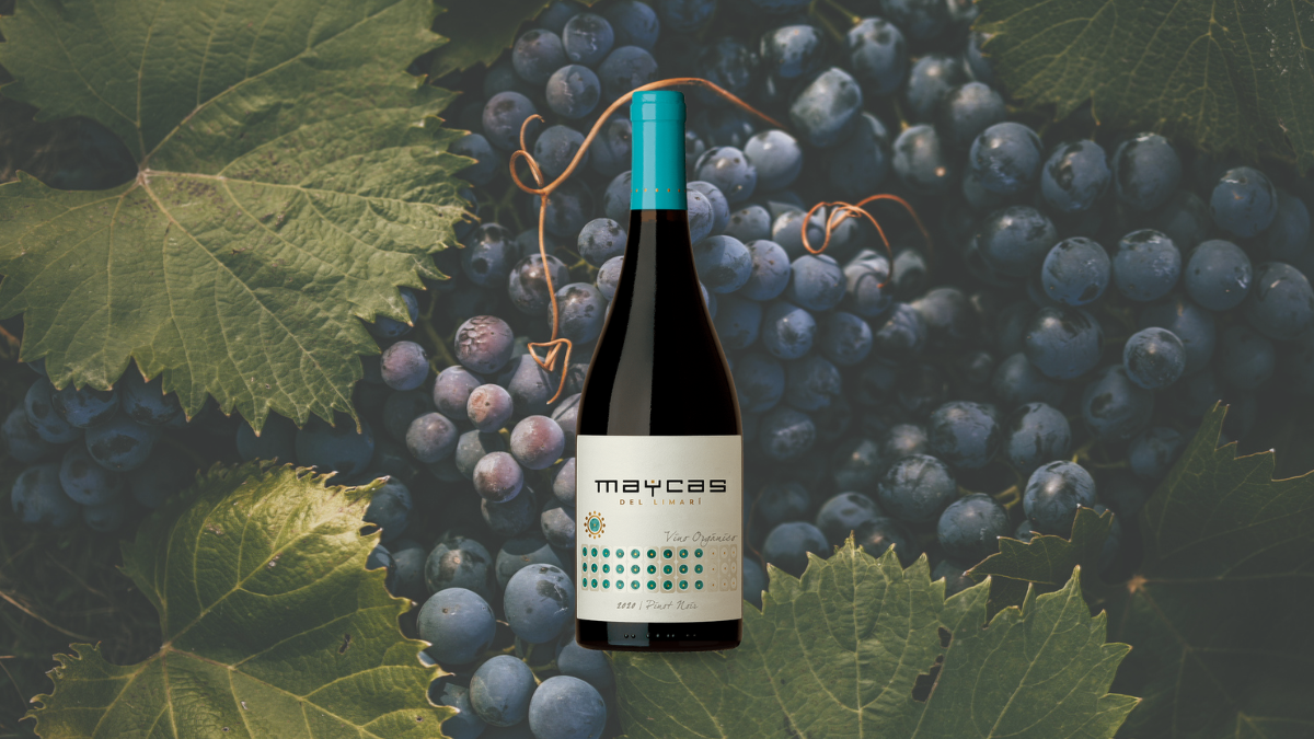 Garrafa de Maycas Pinot Noir