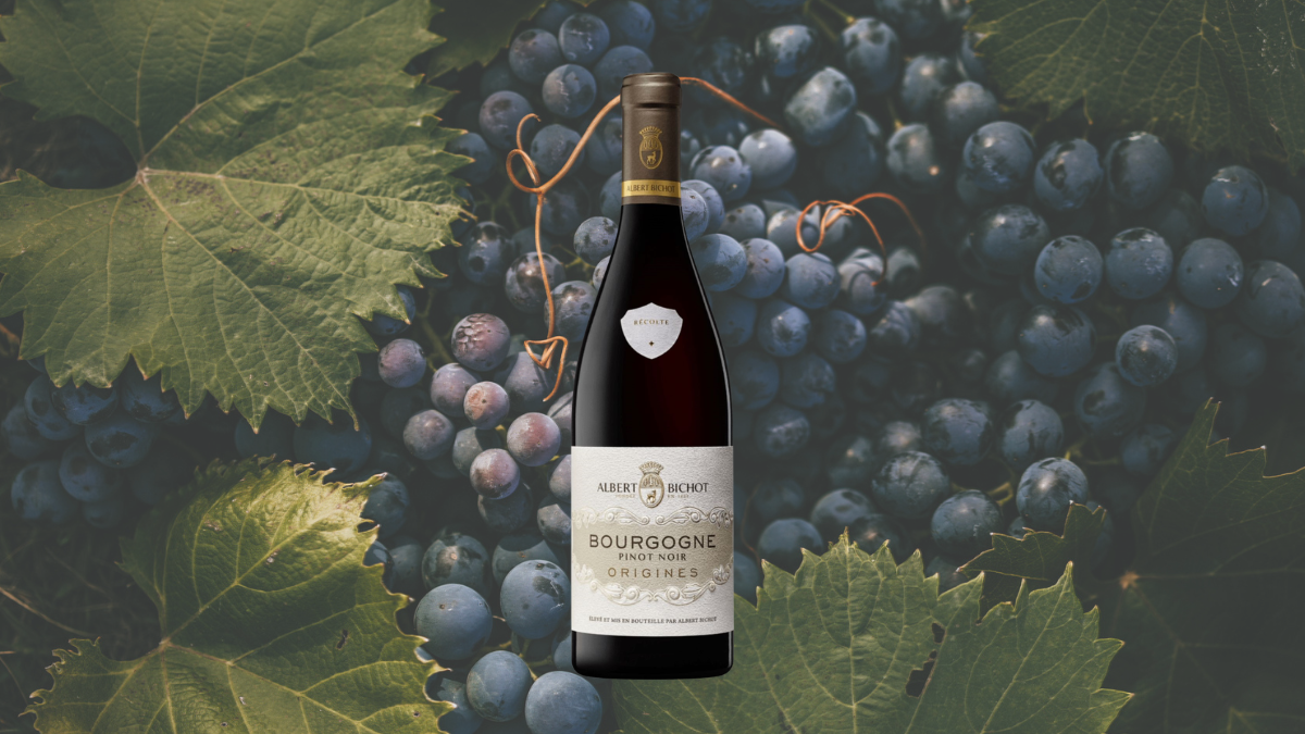 Garrafa de Origines Pinot Noir (Albert Bichot)