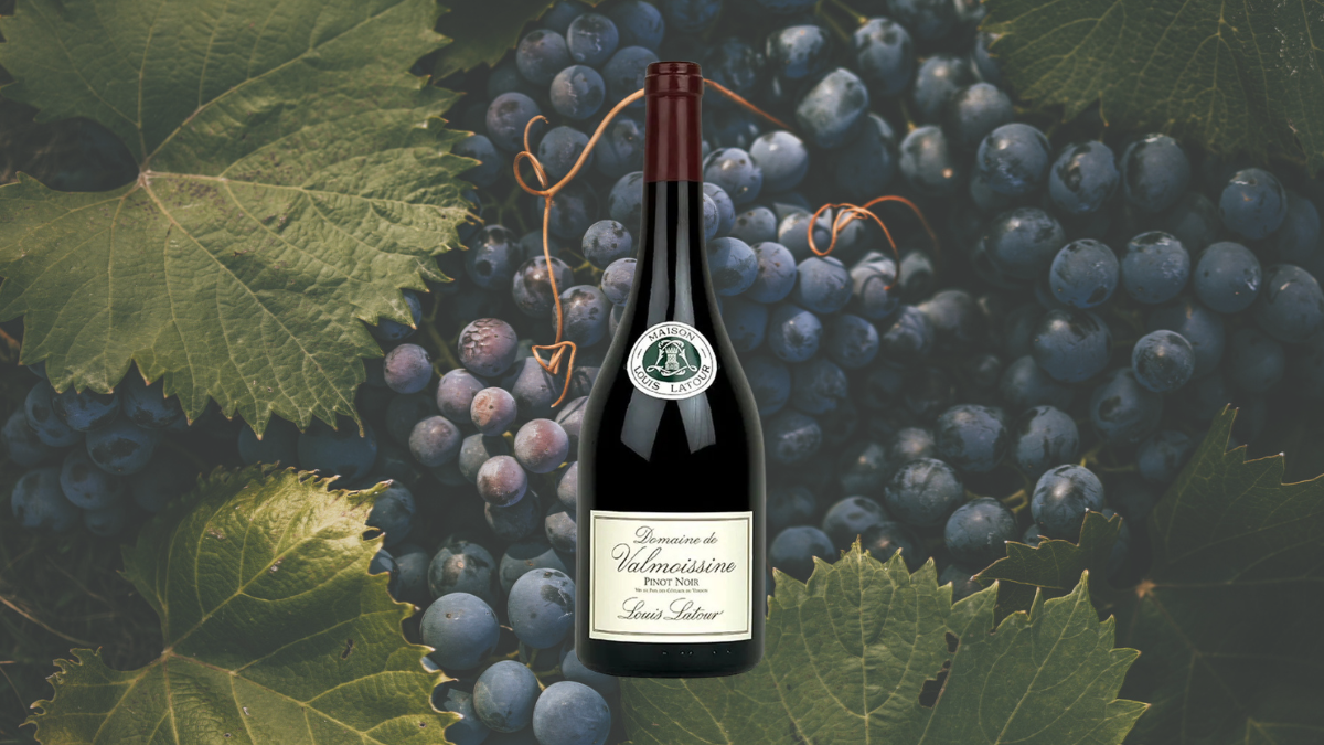 Garrafa de Pinot Noir Domaine de Valmoissine (Louis Latour)