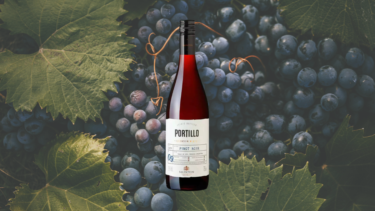 Garrafa de Portillo Pinot Noir (Bodegas Salentein)