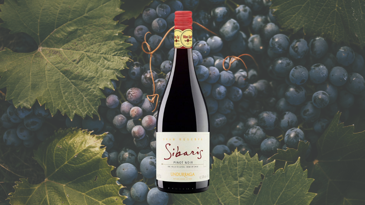 Garrafa de Sibaris Gran Reserva (Undurraga)