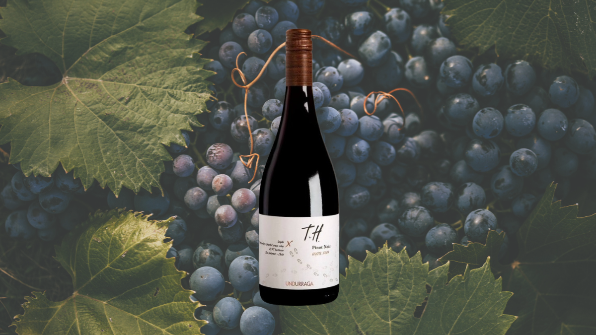 Garrafa de T.H. [Terroir Hunter] (Undurraga)