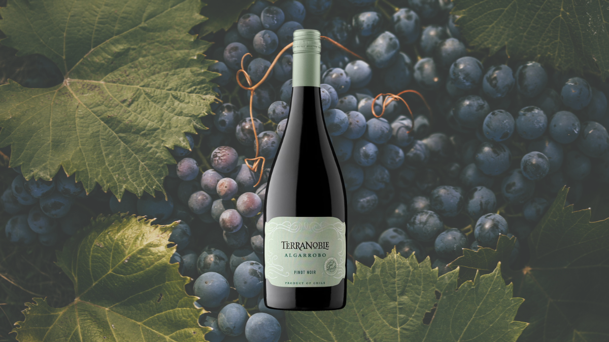 Garrafa de TerraNoble CA2 Costa Algarrobo Pinot Noir 2022