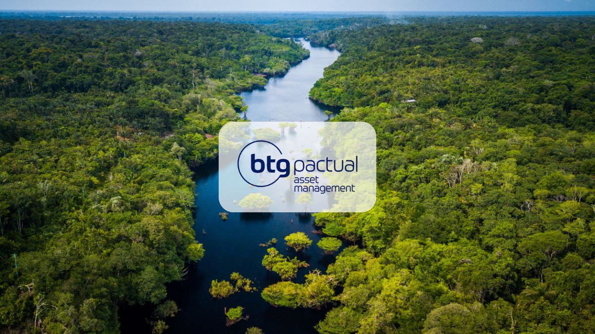 Investimento sustentável com R$ 10: BTG lança primeiro ETF voltado para o desenvolvimento da Amazônia