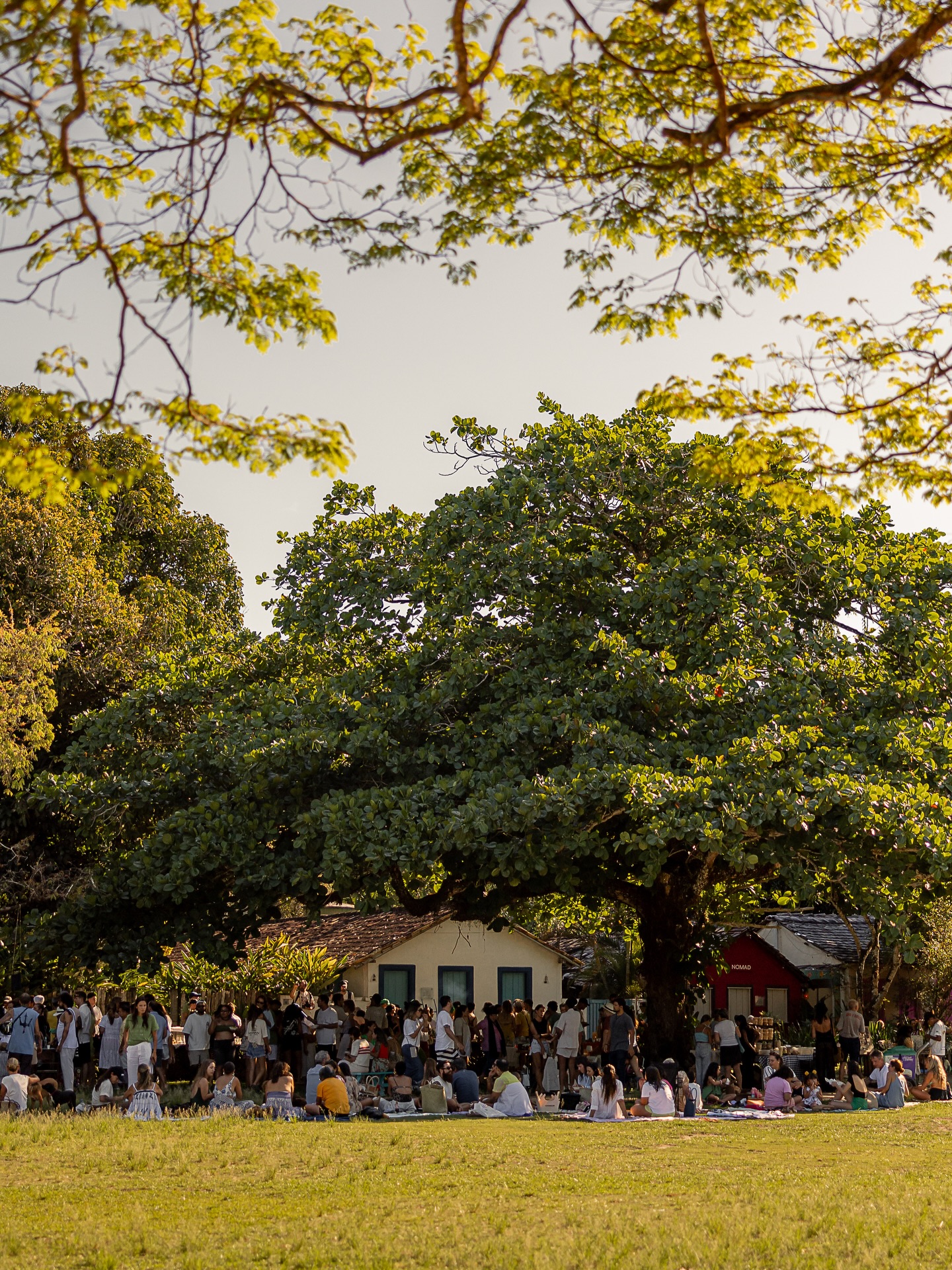 Organic Festival