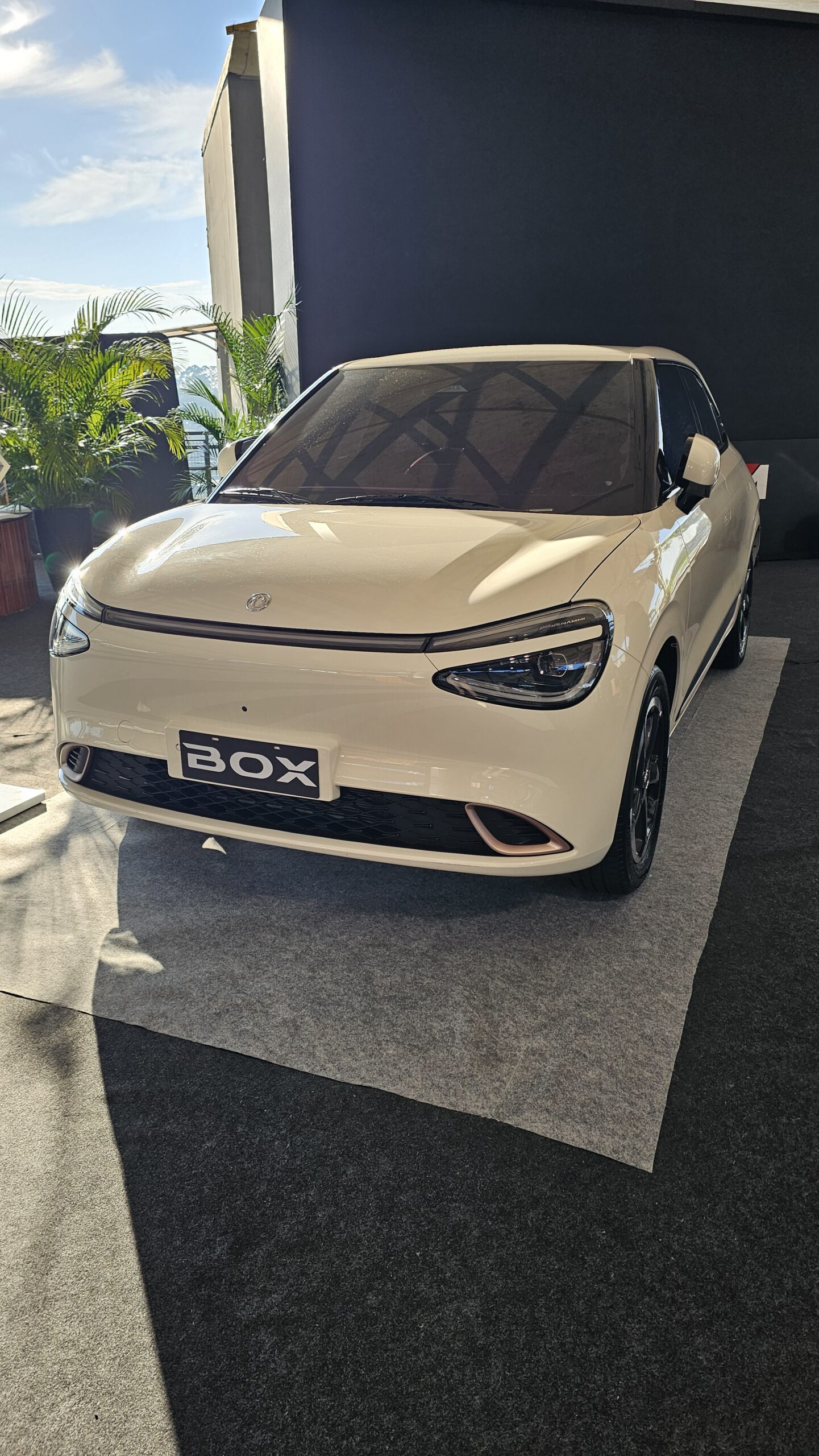 DFM Box