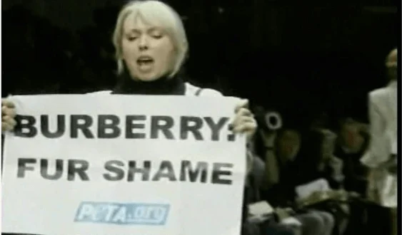 Protesto da PETA durante desfile da Burberry
