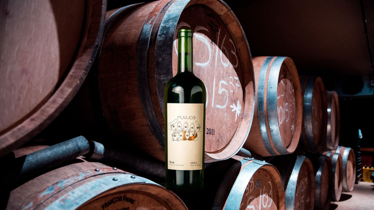 Montagem com garrafa de Cabernet Sauvignon em frente a barrica de Cabernet Sauvignon