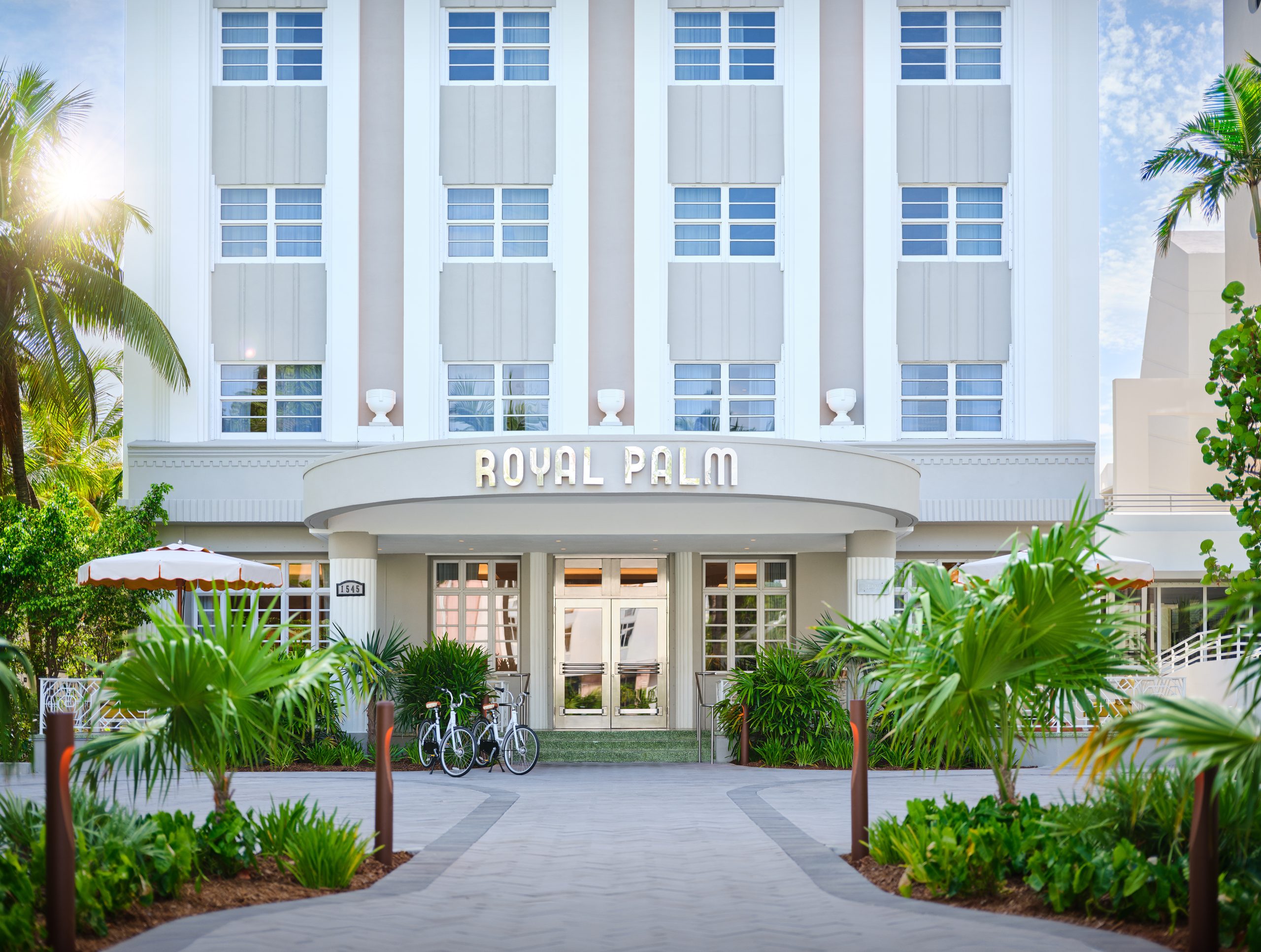 Royal Palm