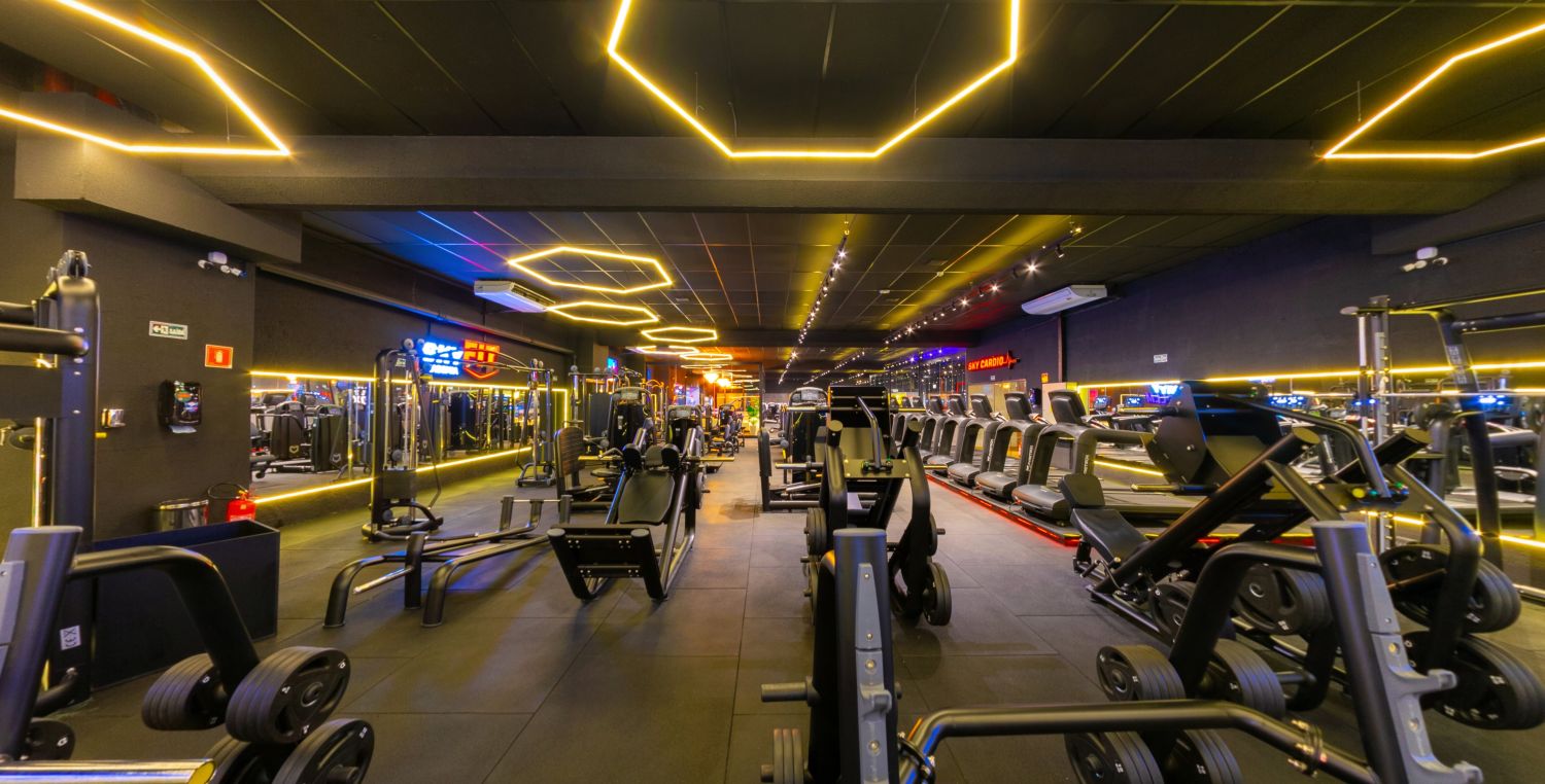 academia skyfit