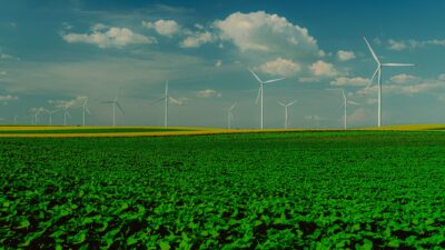 Vista panorâmica de turbinas eólicas em um campo verdejante com um céu azul claro.