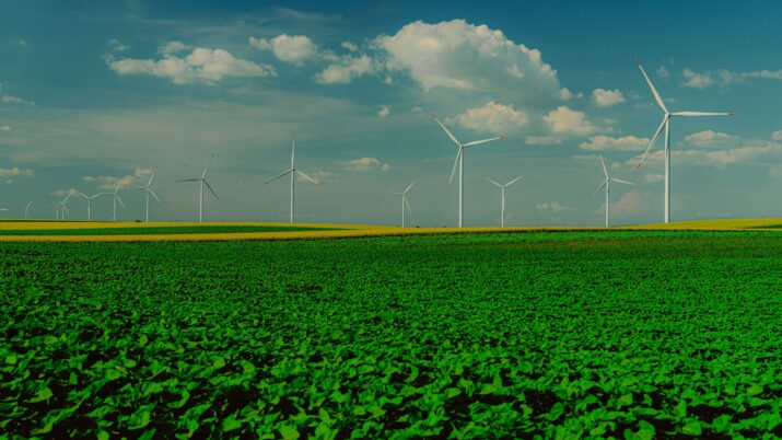 Vista panorâmica de turbinas eólicas em um campo verdejante com um céu azul claro.