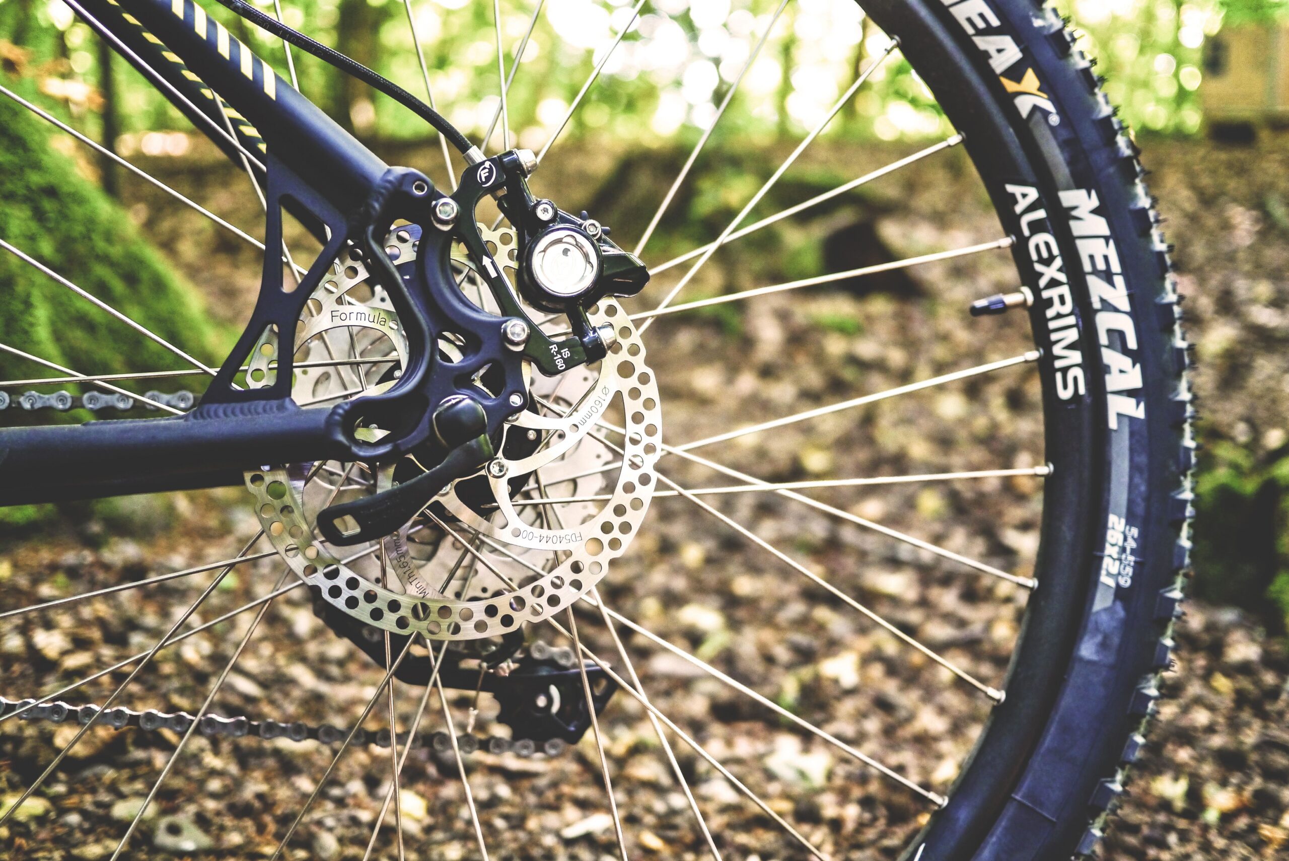 Close da roda traseira de uma bicicleta com freio a disco e raios, em fundo desfocado de área externa.