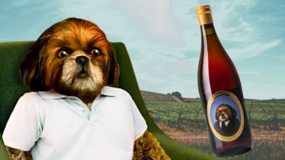 Personagem Bruno Aleixo e a garrafa do vinho Dr. Bruno; ao fundo, vinhedo da Herdade do Rocim. O personagem é uma mistura de um Ewok, ser peludo do universo de Star Wars, com um Yorkshire