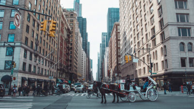 Carruagem puxada por cavalo parada em cruzamento cercado por prédios altos e carros em Nova York.