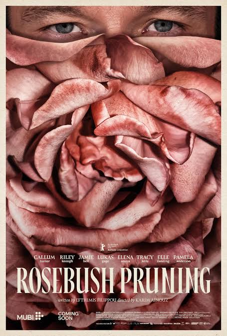 Pôster de Rosebush Pruning, o rosto de um homem com pétalas saindo de sua boca; as pétalas têm o tom de lábios, gerando uma ilusão entre flor e pele